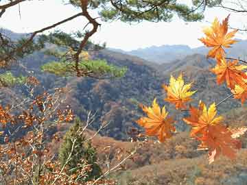 太姥山冷城灵峰景区,太姥山冷城古堡